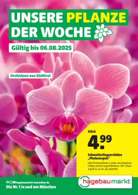 Hagebau Prospekt (gültig bis 7-08)