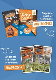 V Markt Prospekt woche 32 Seite 21