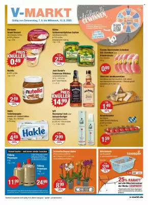V Markt Prospekt (gültig bis 13-08)
