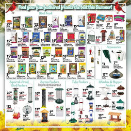 Ocean State Job Lot Weekly Ad week 31 Page 17