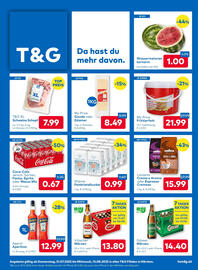 T&G Flugblatt Seite 1