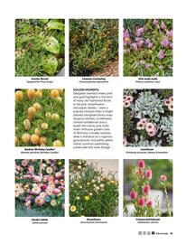 Bunnings catalogue Page 35
