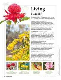 Bunnings catalogue Page 38