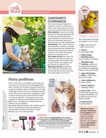 Bunnings catalogue Page 51