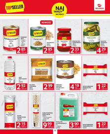 Selgros gazetka Strona 13