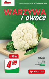 Dino gazetka tydzień 31 Strona 1