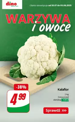 Dino gazetka (ważność do 5-08)
