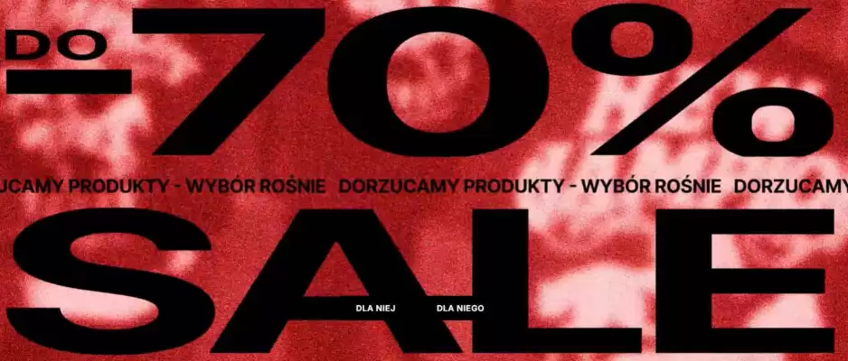 Cropp gazetka (ważność do 6-08)