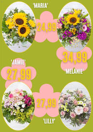 Blumen Risse Prospekt Seite 3