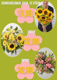 Blumen Risse Prospekt Seite 4