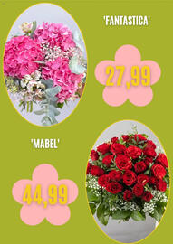 Blumen Risse Prospekt Seite 5