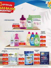 Catálogo Ara semana 31 Página 5
