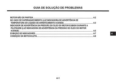 Catálogo Suzuki Motos Página 254
