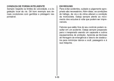 Catálogo Suzuki Motos Página 20