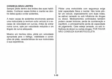 Catálogo Suzuki Motos Página 17