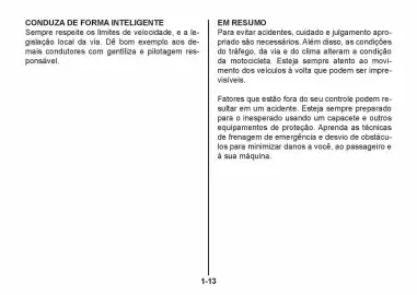 Catálogo Suzuki Motos Página 20