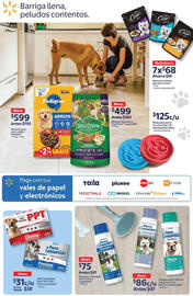 Catálogo Walmart Página 4