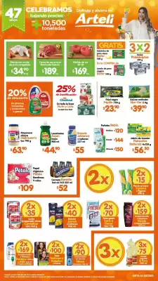 Catálogo Arteli express (válido hasta 31-07)