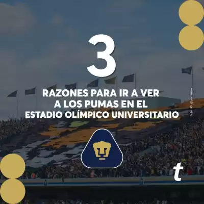 Catálogo Ticketmaster (válido hasta 5-08)