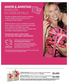 Catálogo Avon Página 13