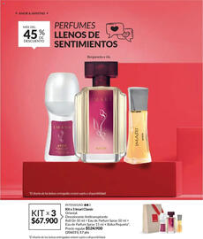 Catálogo Avon Página 17