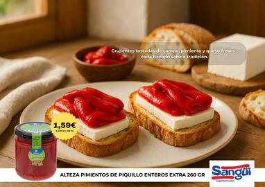 Folleto Sangüi Página 41