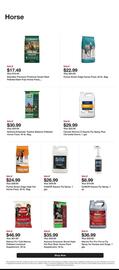 Tractor Supply Company Weekly Ad week 31 Page 2