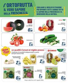Volantino Spesa Facile Conad Pagina 3