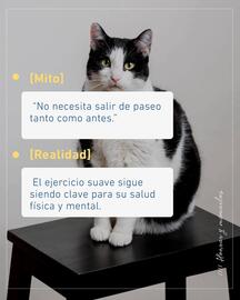 Catálogo Puppis Página 3