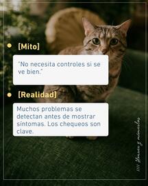 Catálogo Puppis Página 5