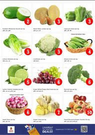 Nesto catalogue Page 16