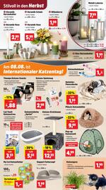 Thomas Philipps Prospekt woche 32 Seite 5