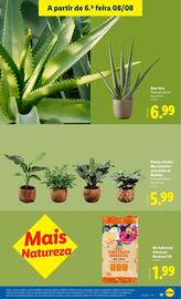 Folheto Lidl semana 32 Página 19