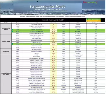 Catalogue Promocash (valable jusqu'au 7-08)