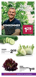 Ekoplaza folder week 32 Pagina 10