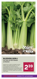 Ekoplaza folder week 32 Pagina 12