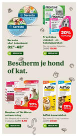 Welkoop folder Pagina 19