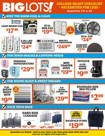 Big Lots Weekly Ad week 31 Page 3