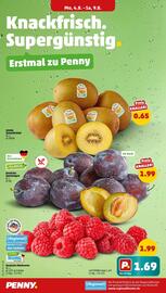 PENNY Prospekt woche 32 Seite 2