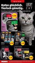 PENNY Prospekt woche 32 Seite 20