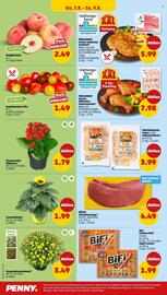 PENNY Prospekt woche 32 Seite 30