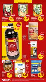 PENNY Prospekt woche 32 Seite 34