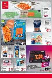 Selgros Prospekt woche 32 Seite 16