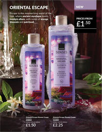 Avon leaflet Page 208