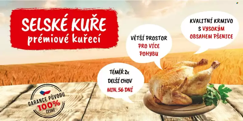 RABBIT řeznictví leták