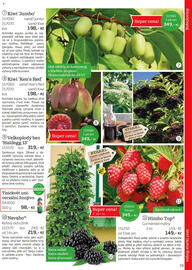 Starkl leták Strana 19