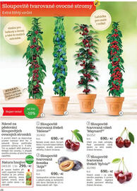 Starkl leták Strana 28