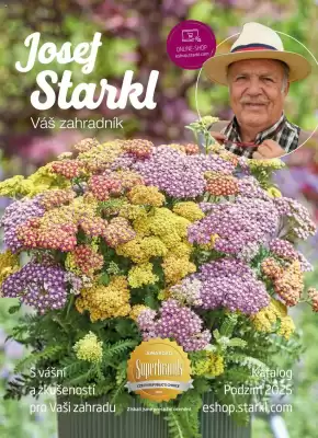 flyer-cover