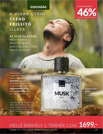 AVON akciós újság Oldal 17