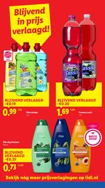 Lidl folder week 32 Pagina 3